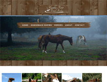 Tablet Screenshot of myakkatrailrides.com